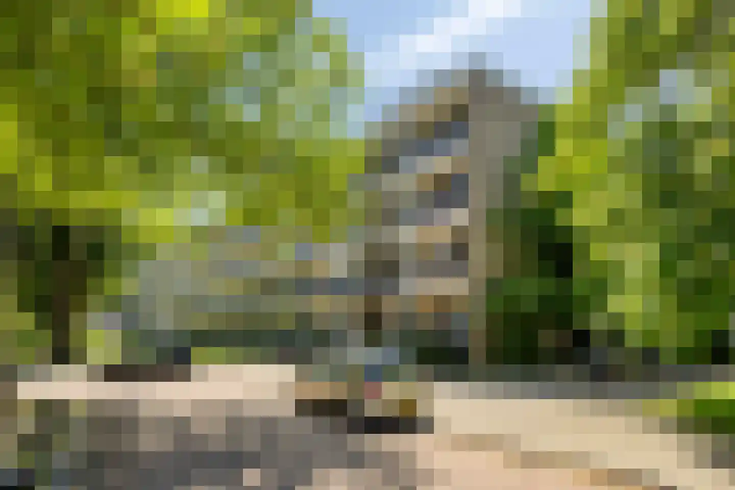Ogierssingel 167 Rotterdam thumbnail 16