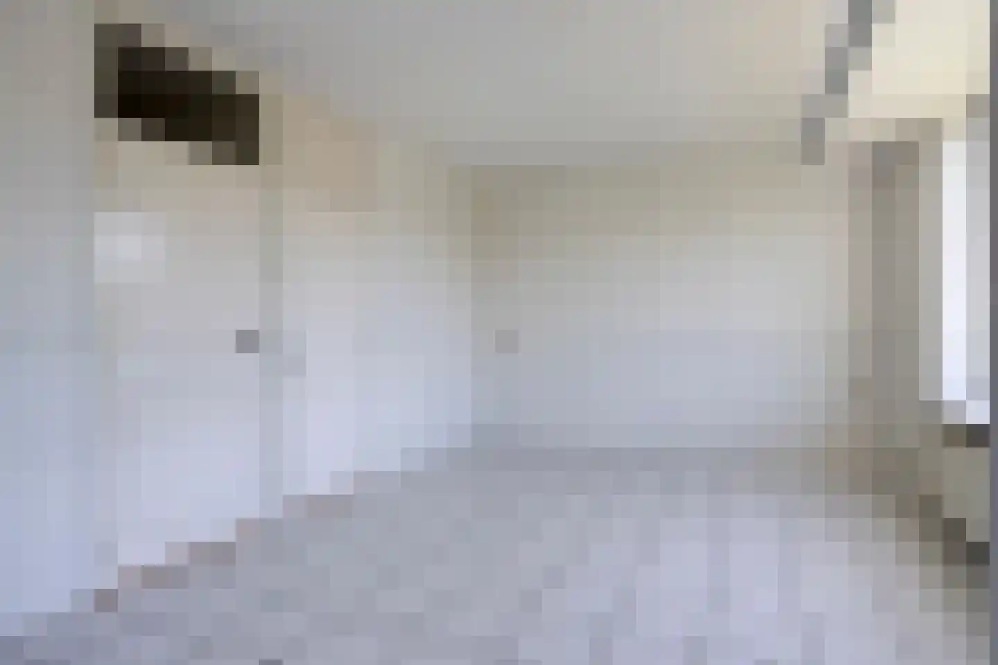 Ogierssingel 167 Rotterdam thumbnail 9