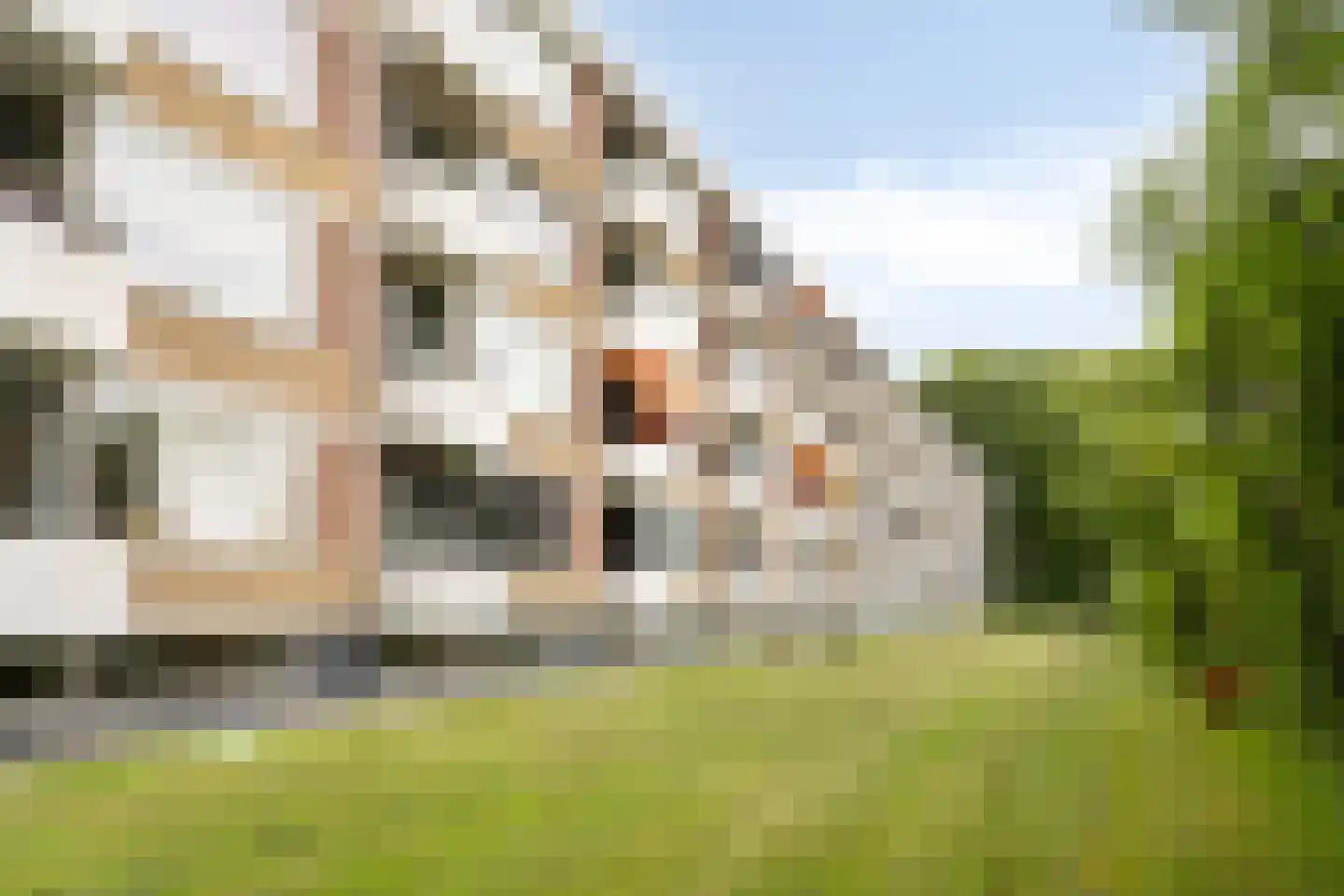 Ogierssingel 173 Rotterdam thumbnail 13