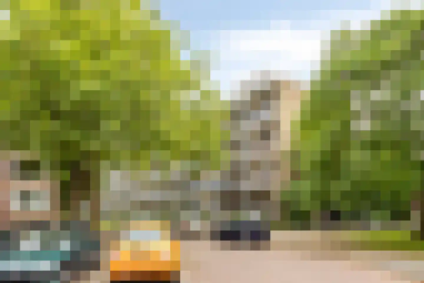 Ogierssingel 173 Rotterdam thumbnail 14