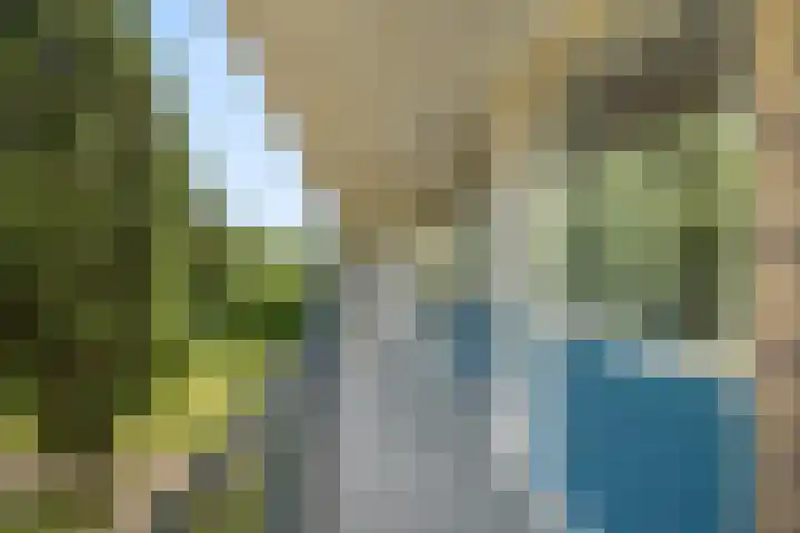 Ogierssingel 189 Rotterdam thumbnail 11