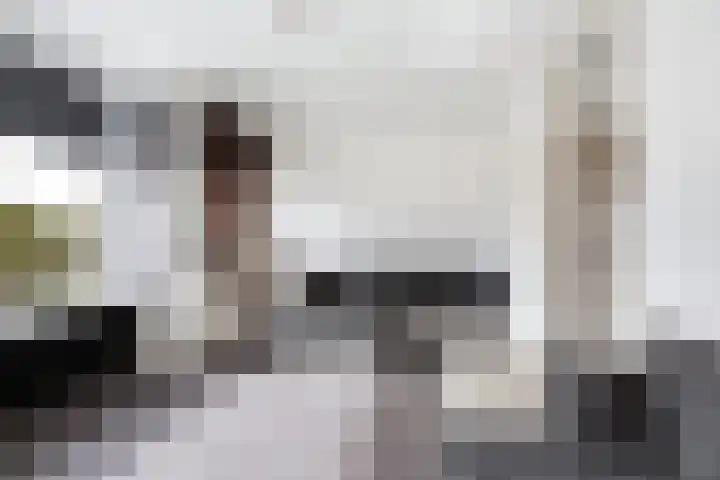 Ogierssingel 189 Rotterdam thumbnail 13