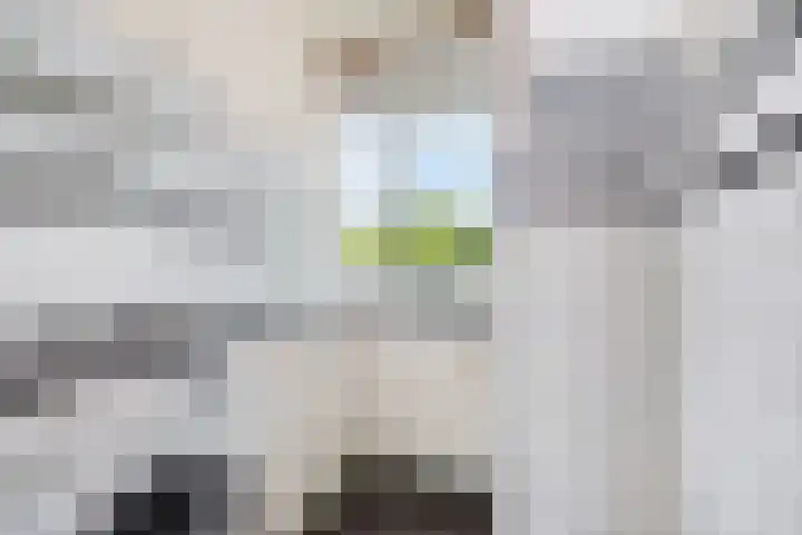 Ogierssingel 189 Rotterdam thumbnail 15