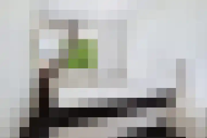Ogierssingel 189 Rotterdam thumbnail 17