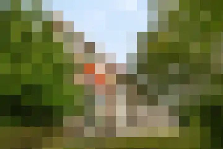 Ogierssingel 189 Rotterdam thumbnail 5