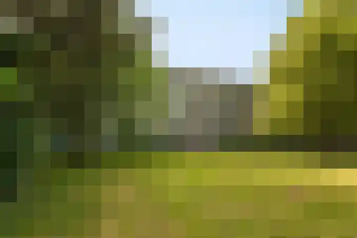 Ogierssingel 189 Rotterdam thumbnail 6