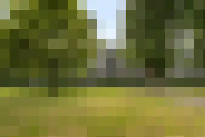 Ogierssingel 189 Rotterdam thumbnail 7