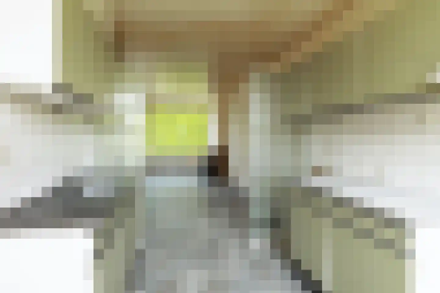 Ogierssingel 227 Rotterdam thumbnail 14