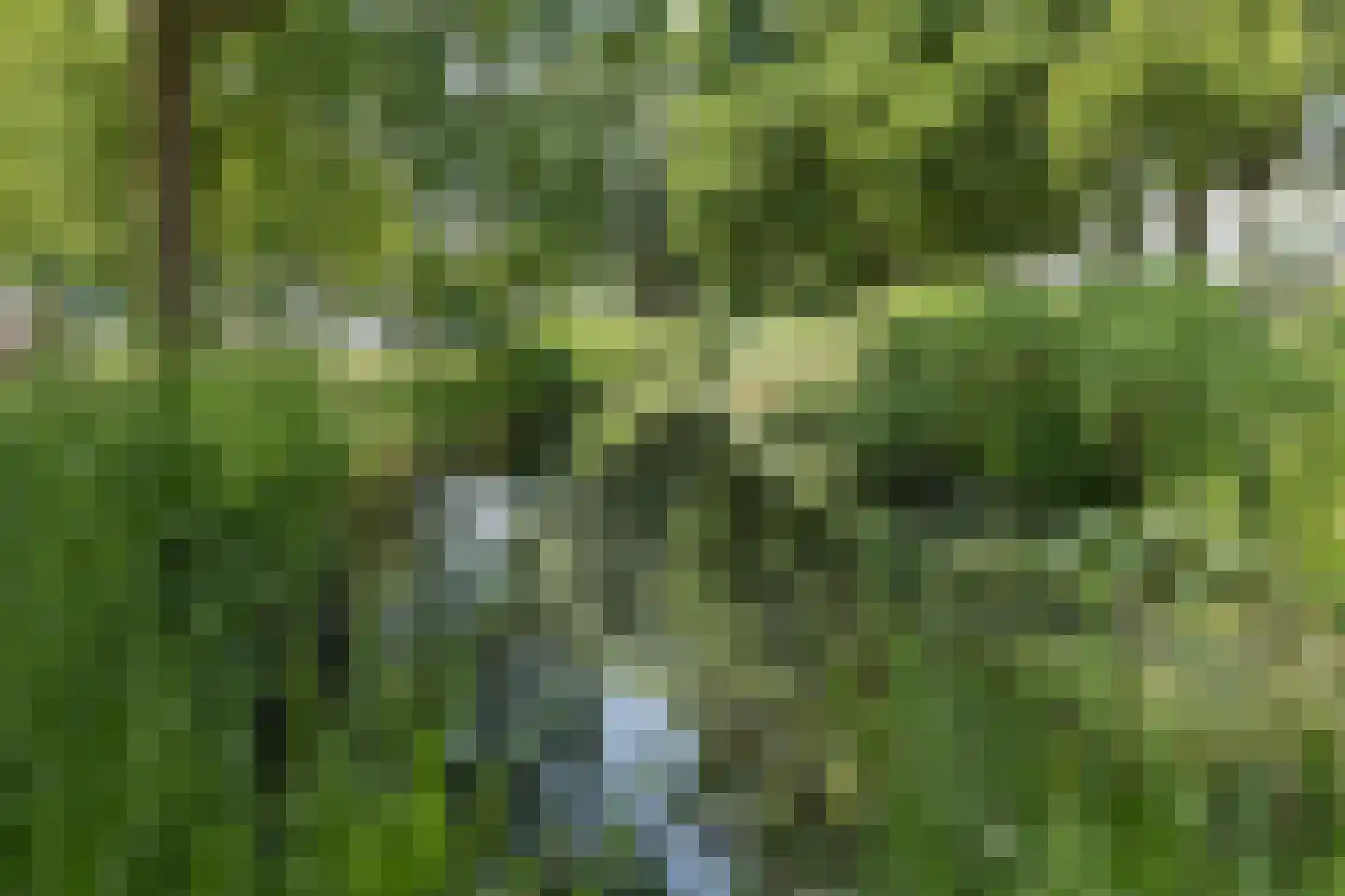 Ogierssingel 227 Rotterdam thumbnail 27