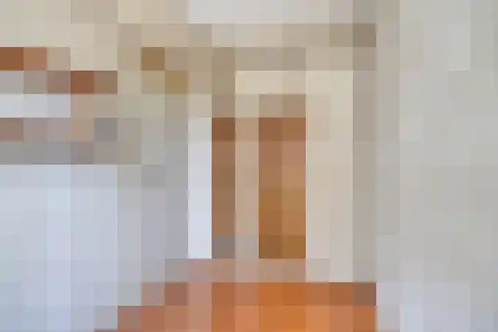 Ogierssingel 265 Rotterdam thumbnail 16