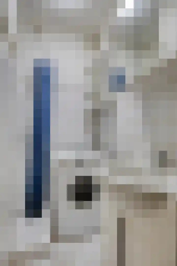 Ogierssingel 265 Rotterdam thumbnail 17