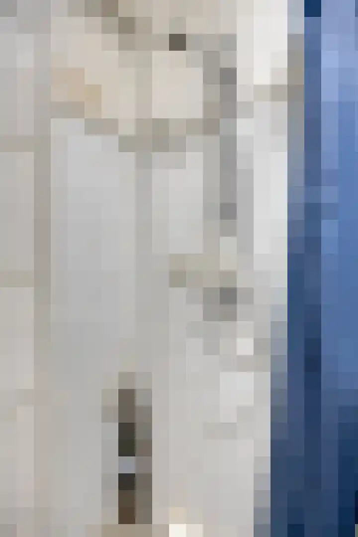 Ogierssingel 265 Rotterdam thumbnail 18