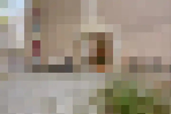 Ogierssingel 265 Rotterdam thumbnail 19