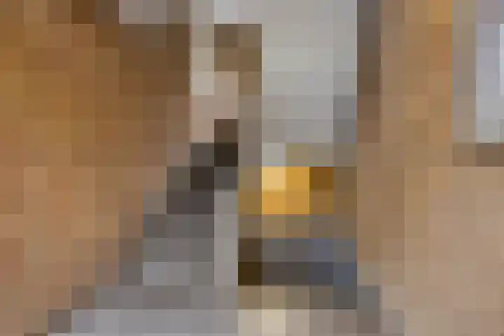 Ogierssingel 265 Rotterdam thumbnail 21
