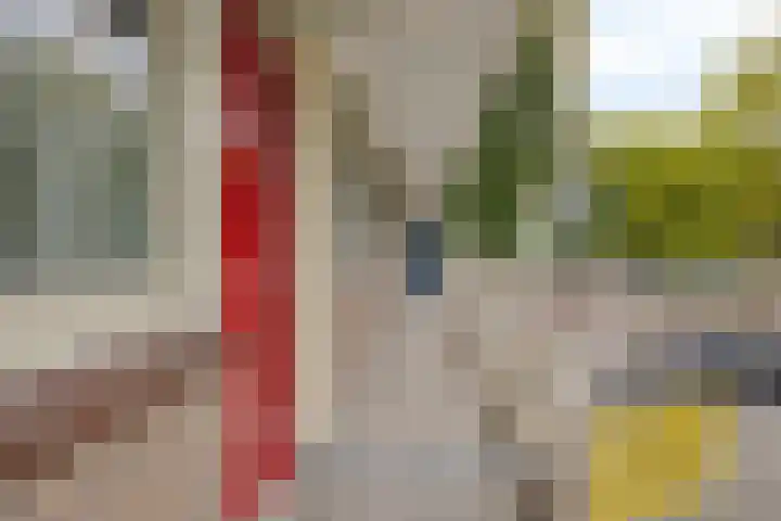 Ogierssingel 265 Rotterdam thumbnail 22