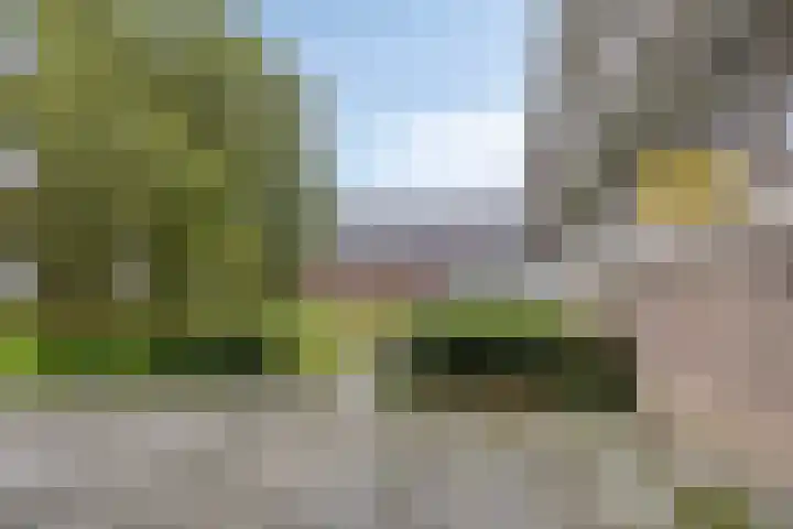 Ogierssingel 265 Rotterdam thumbnail 23