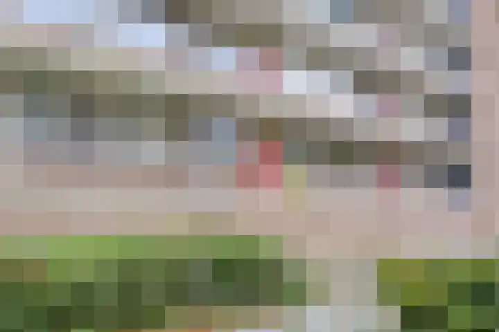 Ogierssingel 265 Rotterdam thumbnail 24