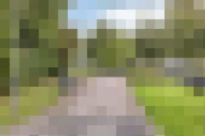 Ogierssingel 265 Rotterdam thumbnail 26