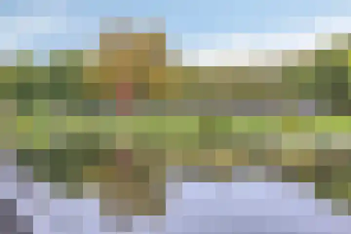 Ogierssingel 265 Rotterdam thumbnail 27