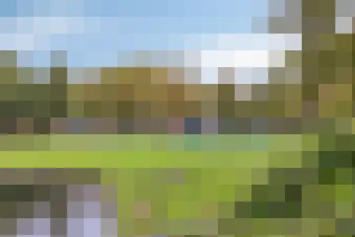 Ogierssingel 265 Rotterdam thumbnail 28