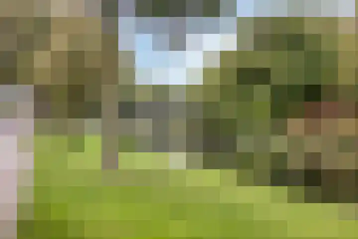 Ogierssingel 265 Rotterdam thumbnail 29