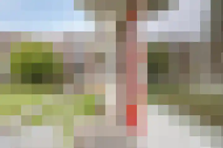 Ogierssingel 265 Rotterdam thumbnail 7