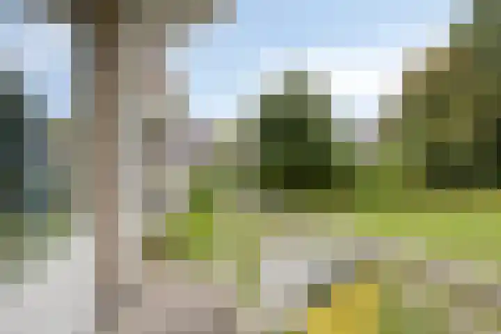 Ogierssingel 265 Rotterdam thumbnail 8