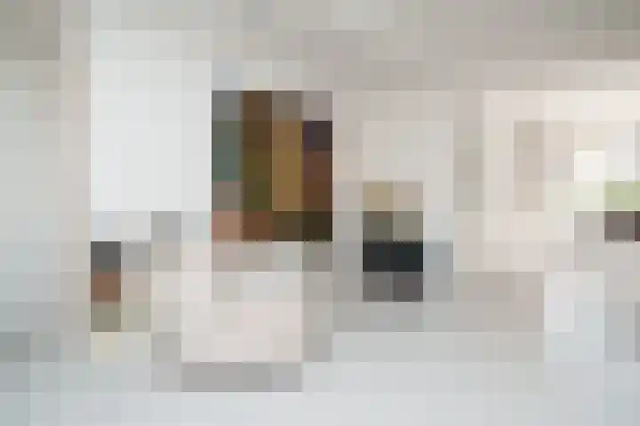 Ogierssingel 49 B Rotterdam thumbnail 11