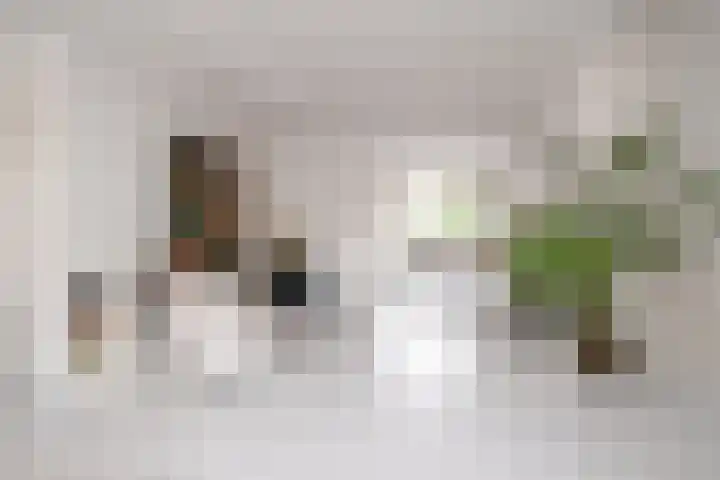Ogierssingel 49 B Rotterdam thumbnail 13