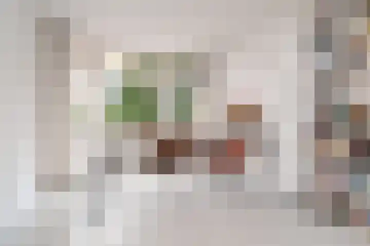 Ogierssingel 49 B Rotterdam thumbnail 16