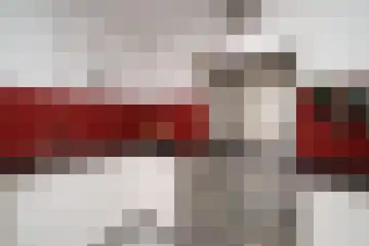 Ogierssingel 49 B Rotterdam thumbnail 18