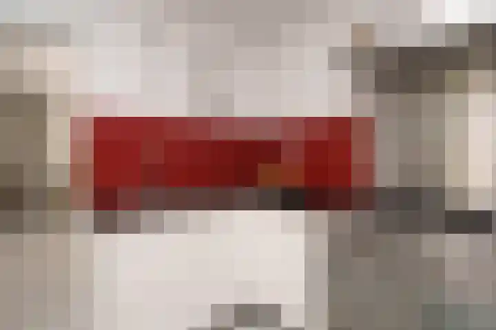 Ogierssingel 49 B Rotterdam thumbnail 19