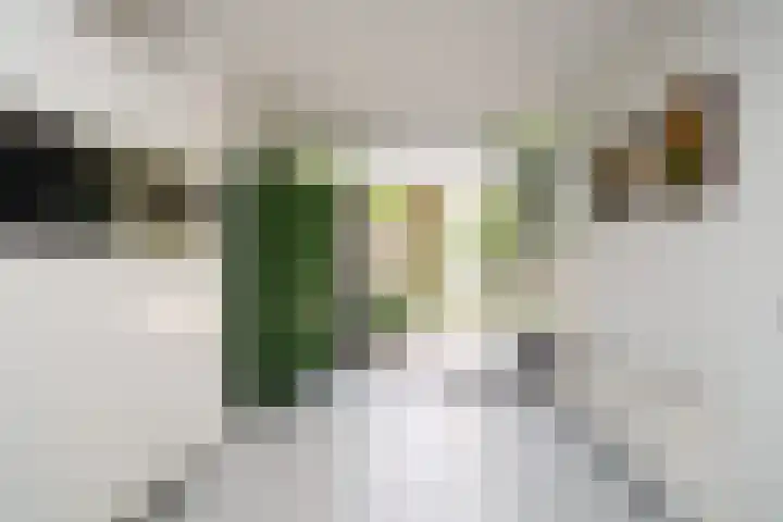 Ogierssingel 49 B Rotterdam thumbnail 20