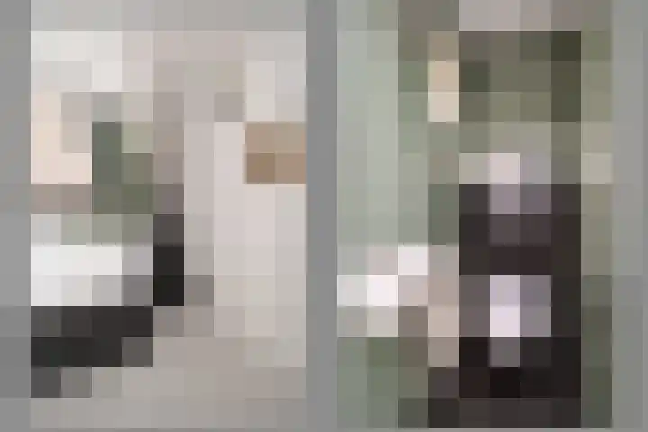Ogierssingel 49 B Rotterdam thumbnail 21