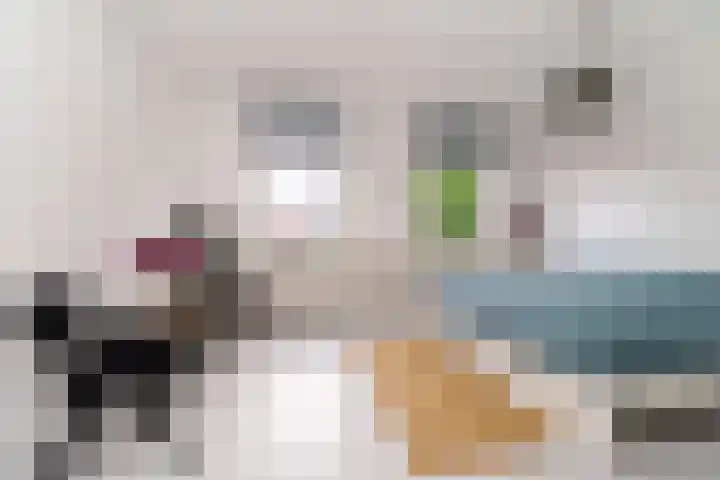 Ogierssingel 49 B Rotterdam thumbnail 22