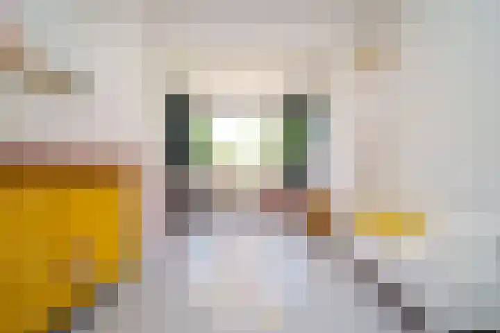 Ogierssingel 49 B Rotterdam thumbnail 24