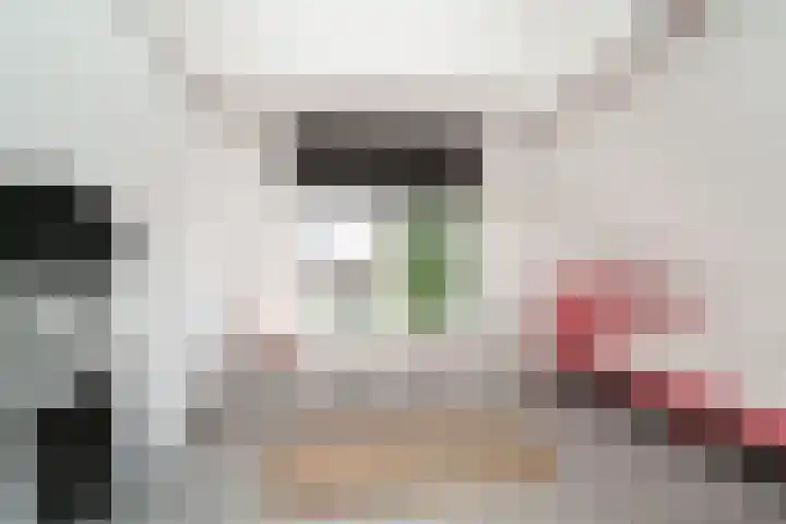 Ogierssingel 49 B Rotterdam thumbnail 27