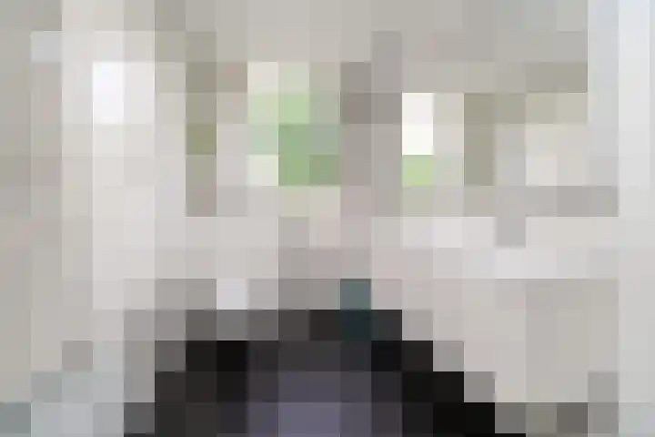 Ogierssingel 49 B Rotterdam thumbnail 29