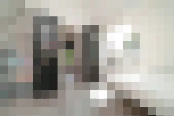 Ogierssingel 49 B Rotterdam thumbnail 32