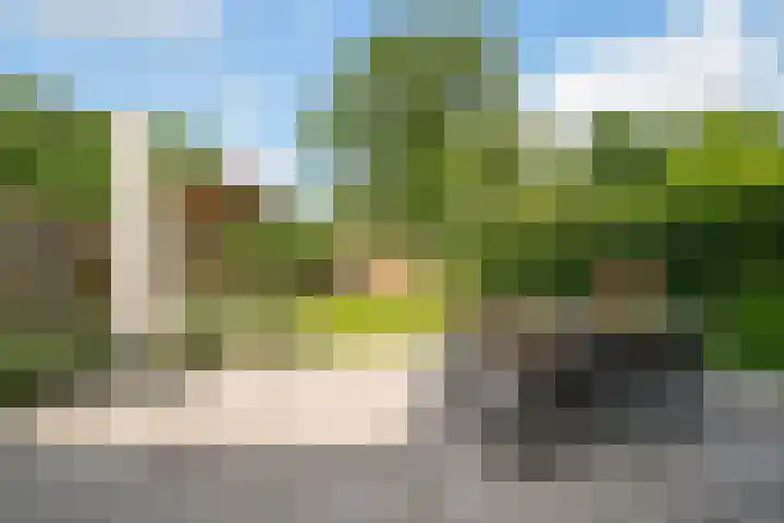 Ogierssingel 49 B Rotterdam thumbnail 33