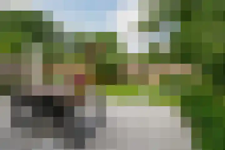 Ogierssingel 49 B Rotterdam thumbnail 34