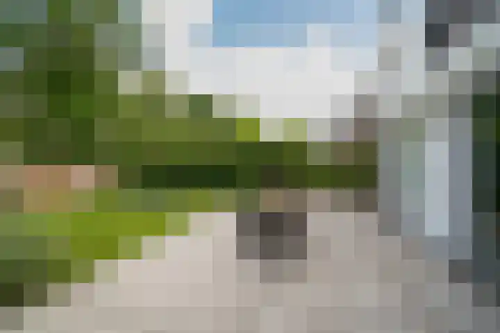 Ogierssingel 49 B Rotterdam thumbnail 35