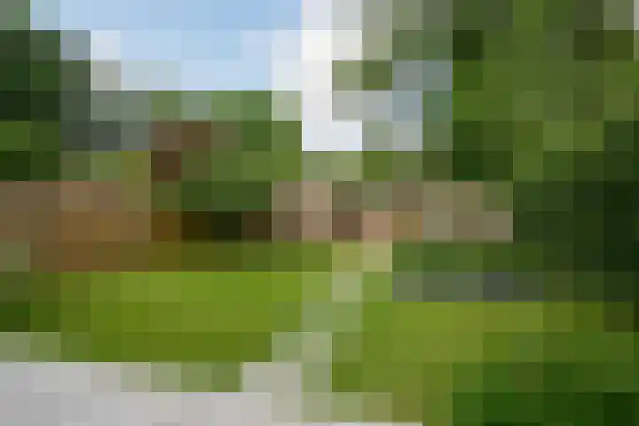 Ogierssingel 49 B Rotterdam thumbnail 36