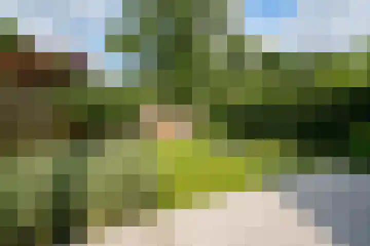 Ogierssingel 49 B Rotterdam thumbnail 37