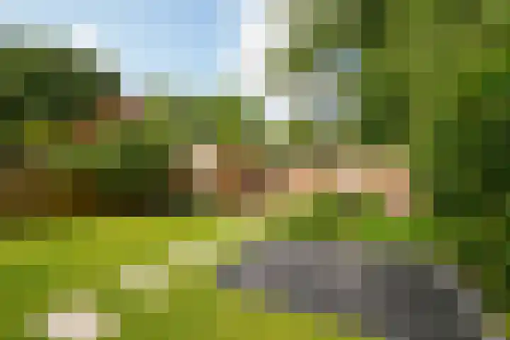 Ogierssingel 49 B Rotterdam thumbnail 38