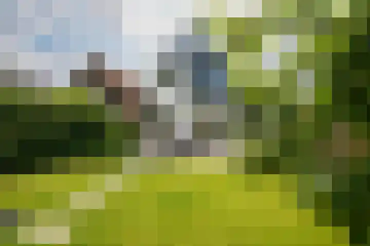 Ogierssingel 49 B Rotterdam thumbnail 41