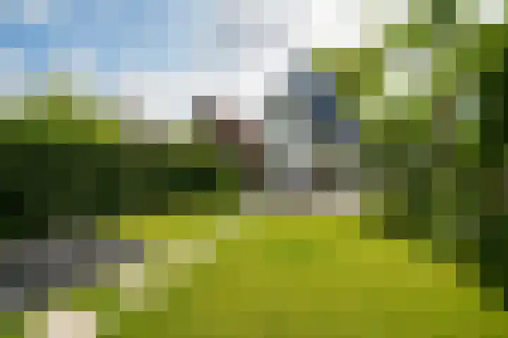 Ogierssingel 49 B Rotterdam thumbnail 42