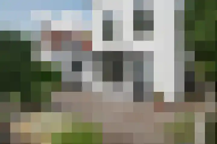 Ogierssingel 49 B Rotterdam thumbnail 43