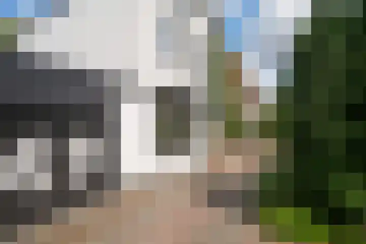 Ogierssingel 49 B Rotterdam thumbnail 44