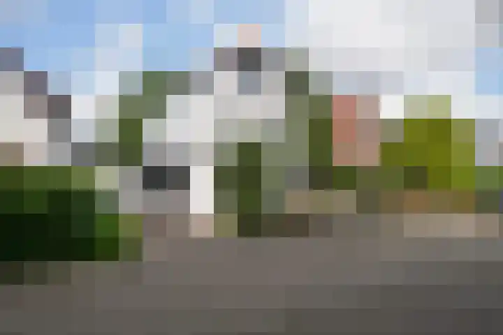 Ogierssingel 49 B Rotterdam thumbnail 45